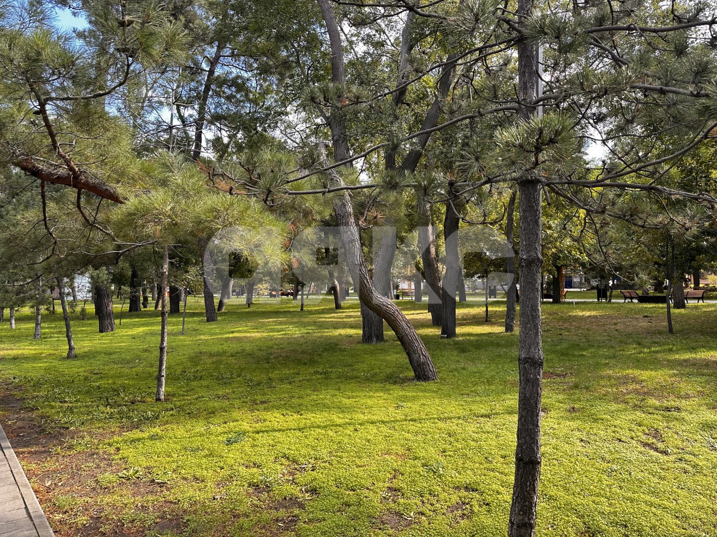 Фото №26: 3-комнатная квартира 78 м² - Анапа, ул. Крепостная, 51к2