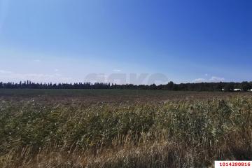 Фото №5: Коммерция 574 м² - Республика Адыгея (Адыгея) Тахтамукайский район