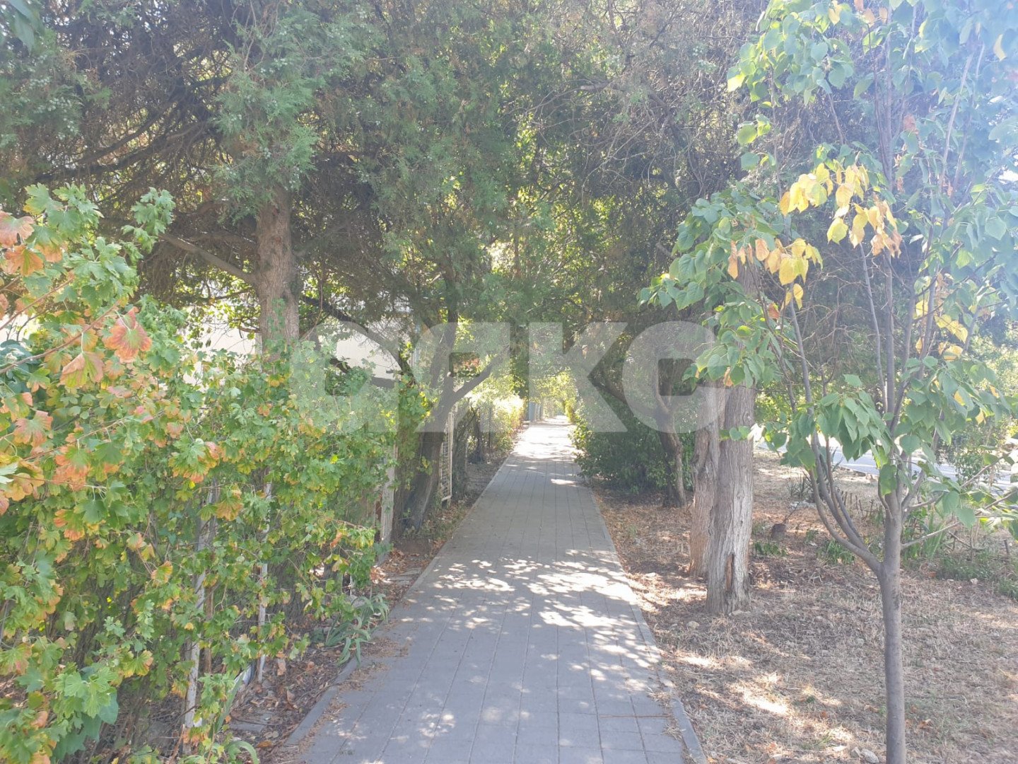 Фото №17: 2-комнатная квартира 55 м² - Анапа, ул. Толстого, 58