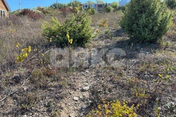 Фото №5: Участок садоводство - Сукко, ул. Сосновый тупик