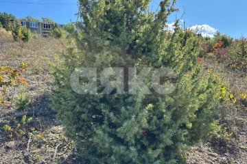 Фото №2: Участок садоводство - Сукко, ул. Сосновый тупик