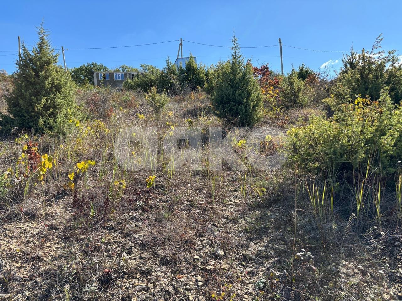 Фото №8: Участок садоводство 6.21 сот. - Сукко, ул. Сосновый тупик