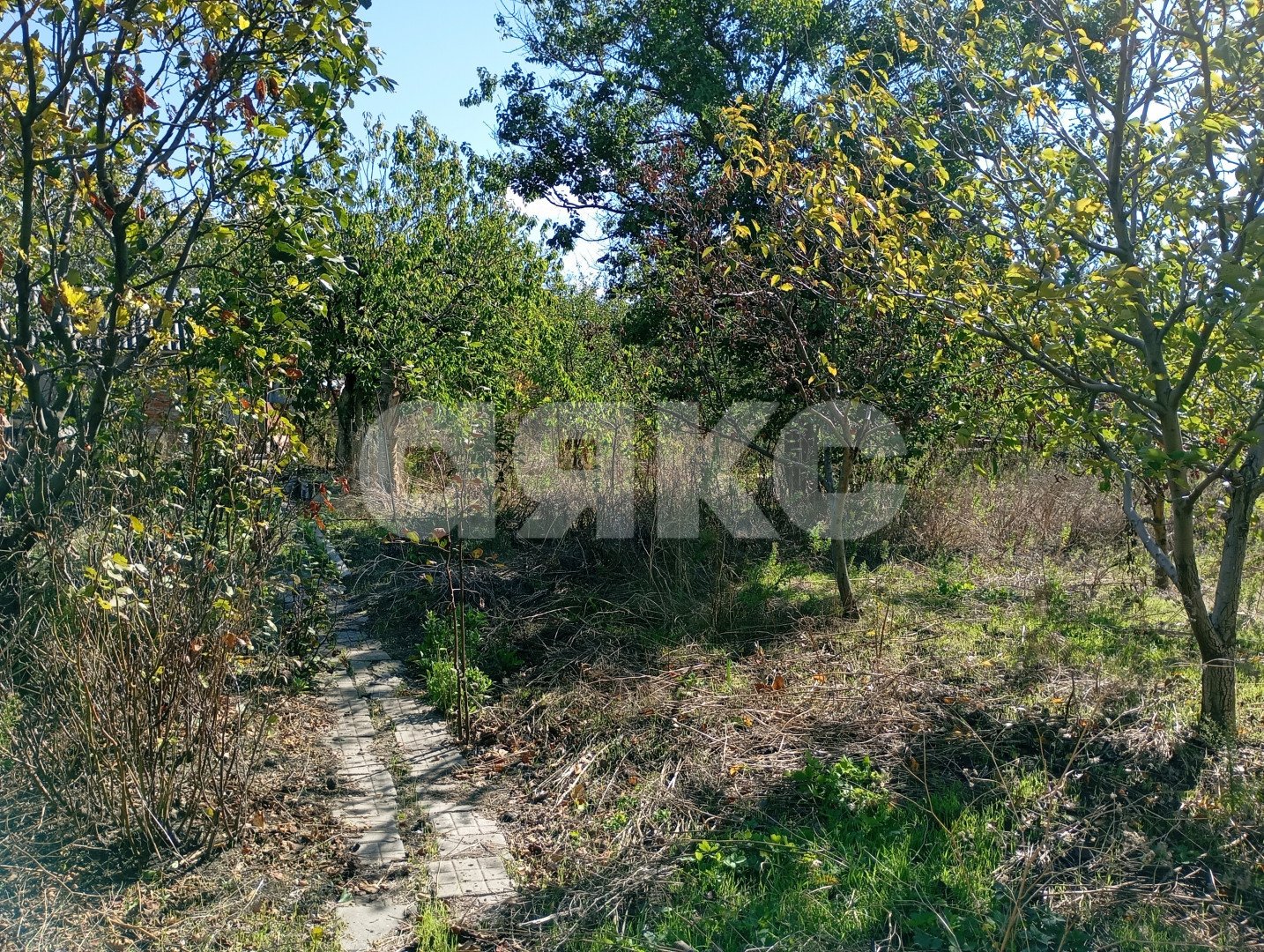 Фото №15: Участок садоводство 5 сот. - СОТ Строитель, ул. Кавказская, 1