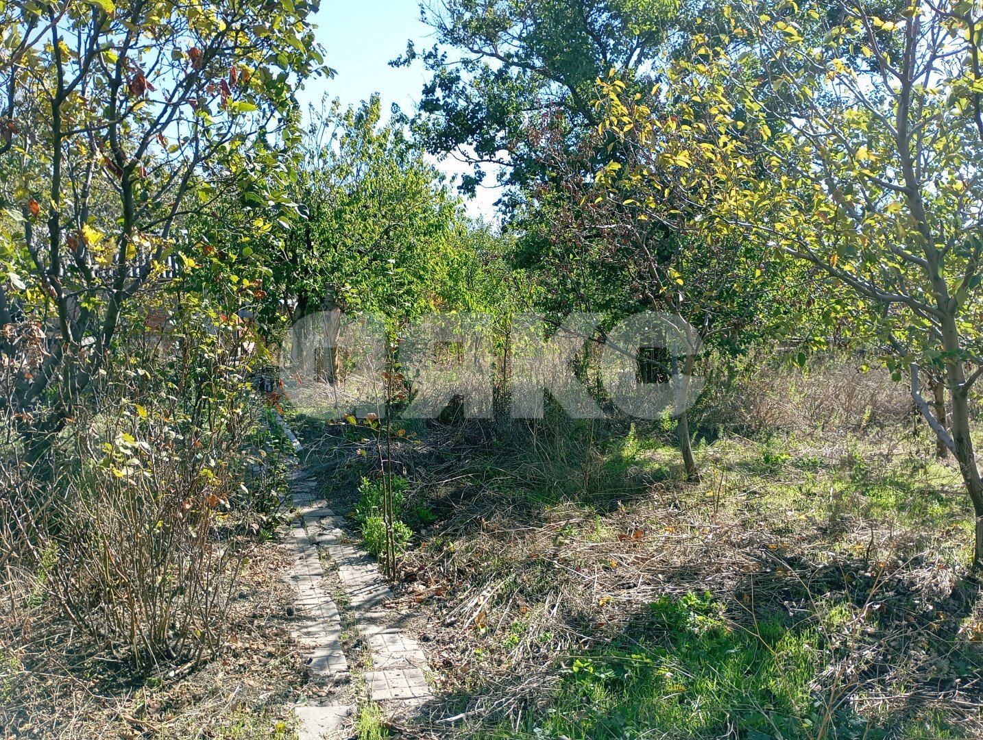 Фото №13: Участок садоводство 5 сот. - СОТ Строитель, ул. Кавказская, 1