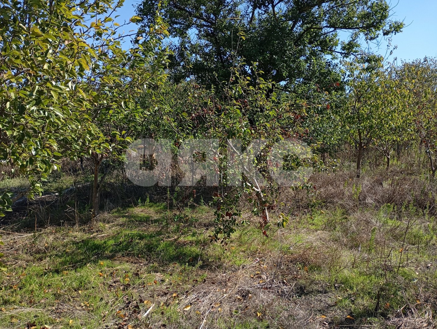 Фото №10: Участок садоводство 5 сот. - СОТ Строитель, ул. Кавказская, 1