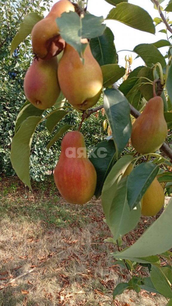 Фото №29: Дом 75 м² + 3.3 сот. - Анапская, ул. Изумрудная