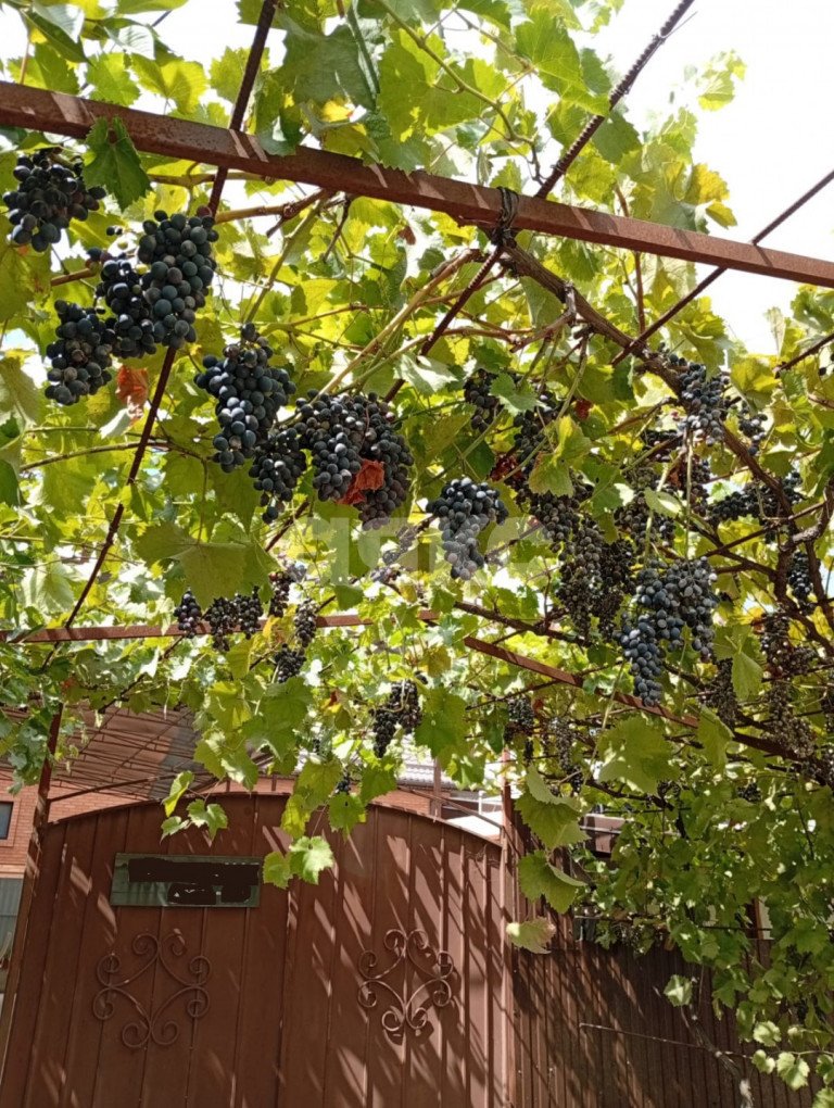 Фото №27: Дом 75 м² + 3.3 сот. - Анапская, ул. Изумрудная