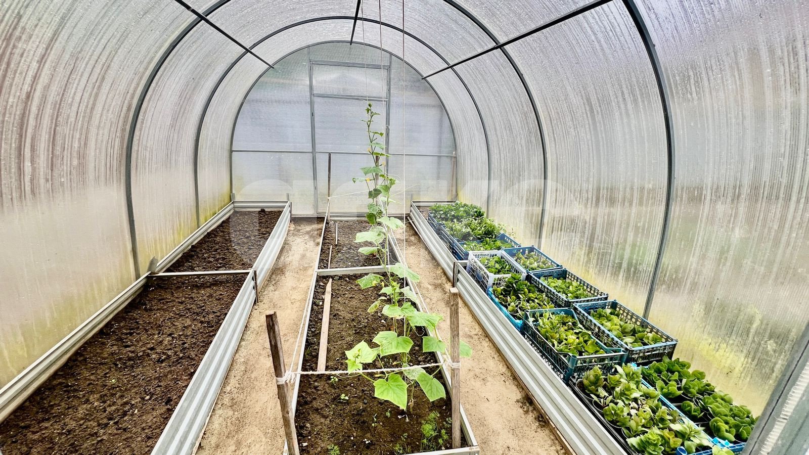 Фото №11: Дуплекс 100 м² + 2.6 сот. - Супсех, ул. Космонавта Комарова, 70