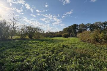 Фото №4: Земельный участок 15 сот. - Октябрьский, ул. Советская, 13