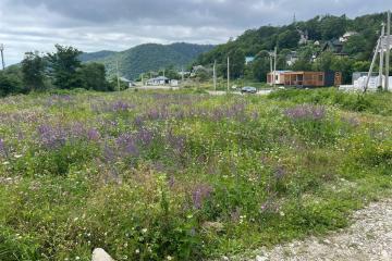 Фото №1: Земельный участок 8.08 сот. - Агой, ул. Светлая, 8