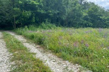 Фото №3: Земельный участок 8.08 сот. - Агой, ул. Светлая, 8