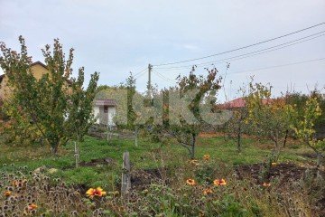 Фото №3: Земельный участок под ИЖС - Пятихатки, ул. Дружбы, 12