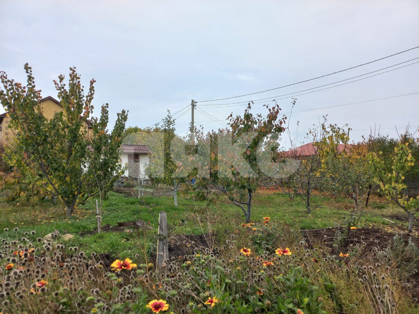 Фото №3: Земельный участок под ИЖС 6 сот. - Пятихатки, ул. Дружбы, 12