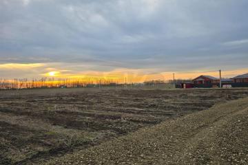 Фото №4: Земельный участок 6 сот. - Копанской, мкр. Прикубанский внутригородской округ, 