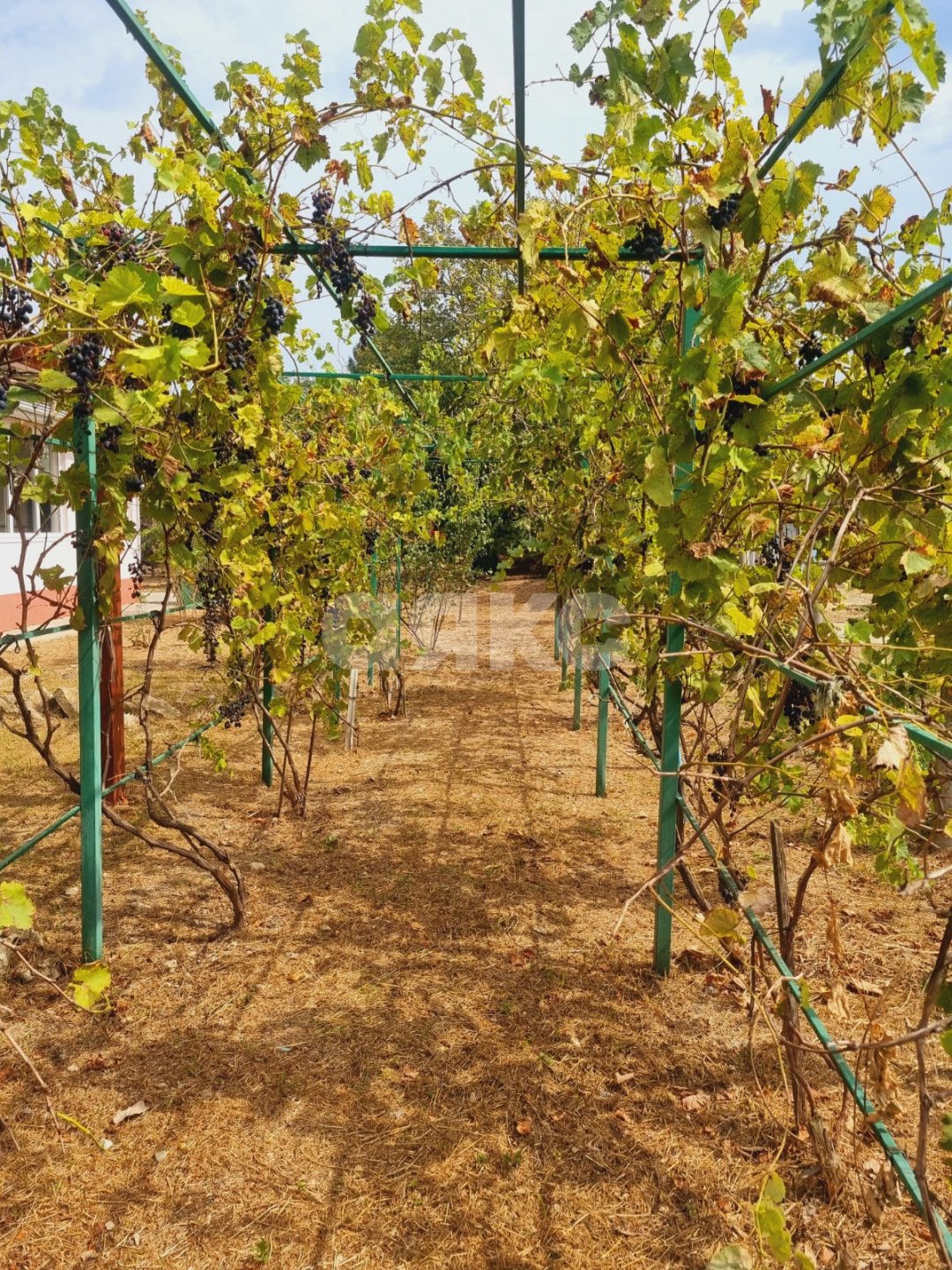 Фото №7: Дом 163 м² + 15.18 сот. - Гостагаевская, ул. 8 Марта, 4А