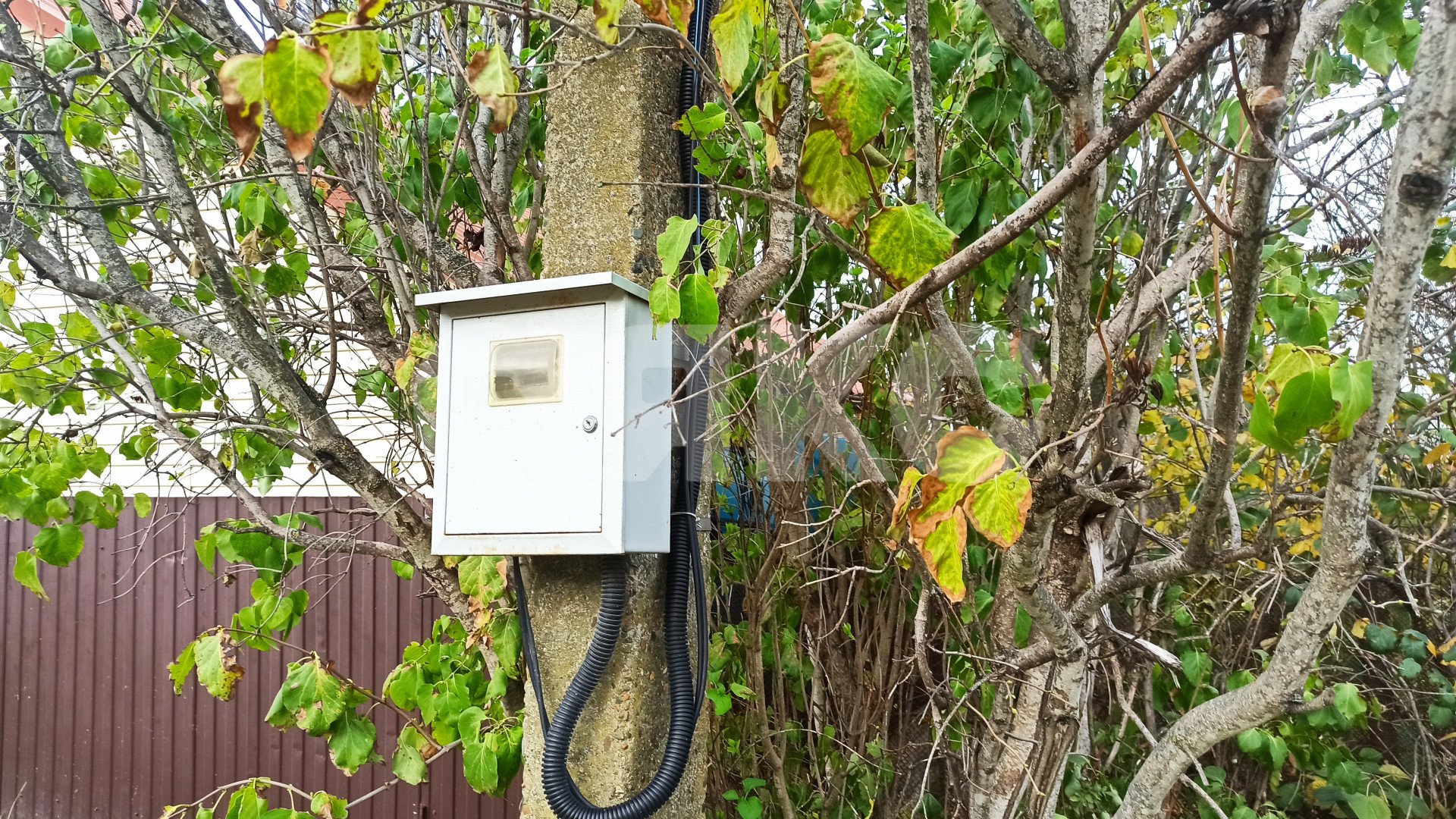 Фото №6: Дача 12 м² + 5 сот. - СНТ Черёмушка, ул. Солнечная, 24