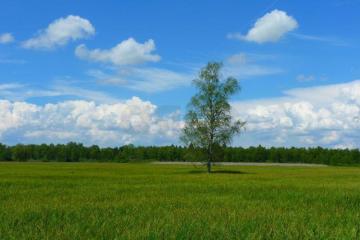 Фото №5: Земельный участок 9.9 сот. - Большевик, ул. Кубанская, 15