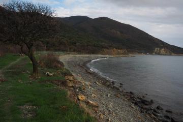 Фото №1: Земельный участок 10.11 сот. - Малый Утриш, ул. Малоутришская