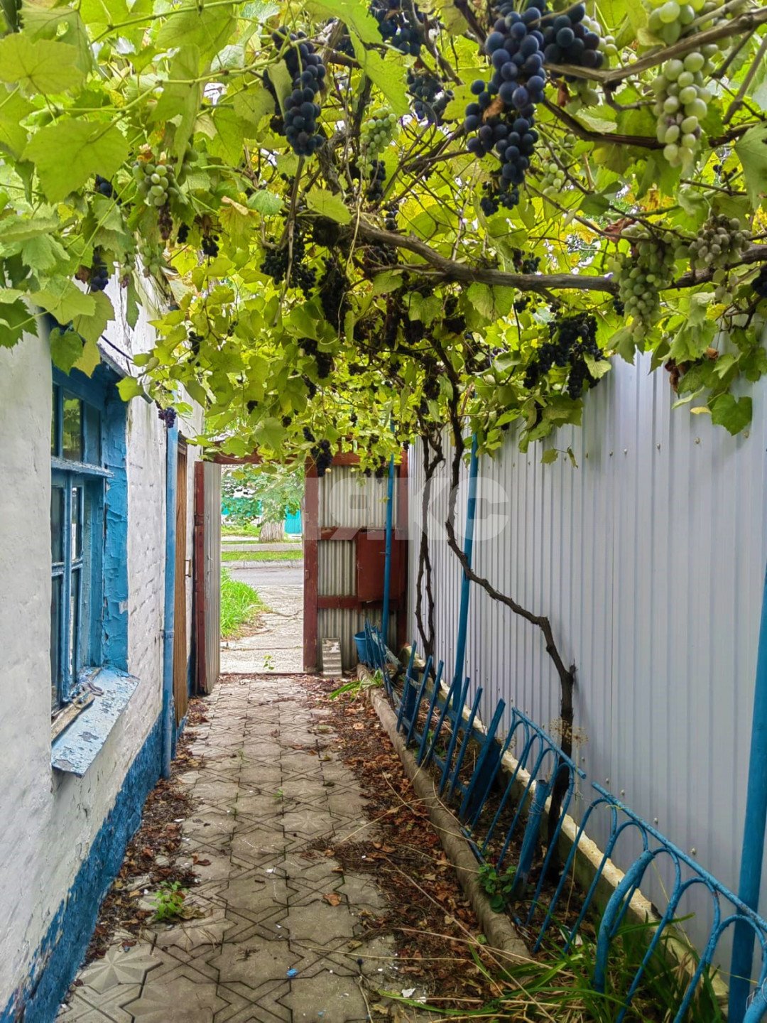 Фото №1: Дом 35 м² + 3.2 сот. - Анапа, ул. Гоголя