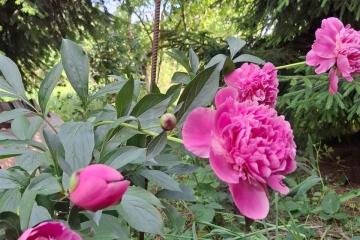 Фото №3: Земельный участок 9.38 сот. - Янтарь, мкр. Карасунский внутригородской округ, ул. Янтарная, 183