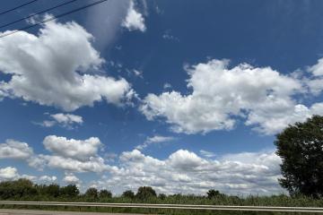 Фото №4: Коммерция 5 м² - Изюмовка, ул. Новая