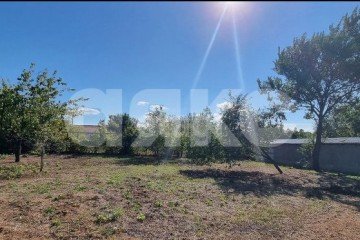 Фото №3: Земельный участок под ИЖС - Рассвет, ул. Юбилейная, 14